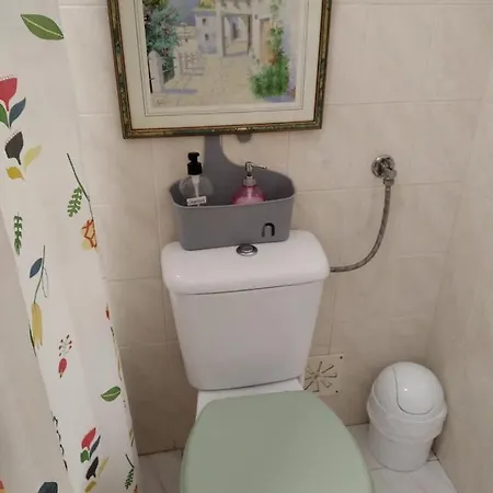 Lejlighed Apartamento Cs Caldas Caldas Da Rainha